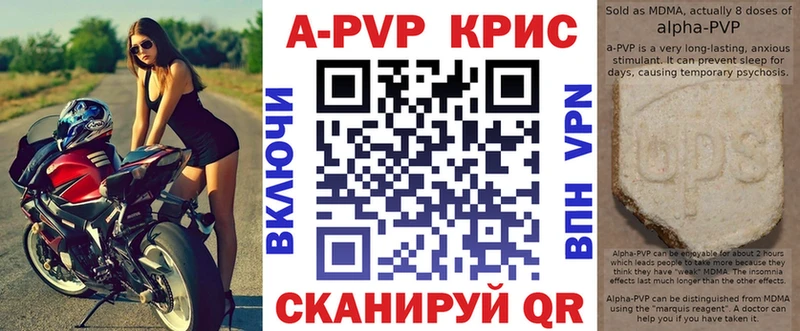 Alpha PVP СК  Игра 