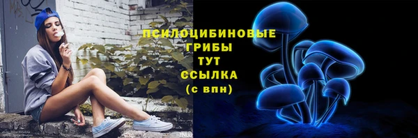 винт Баксан
